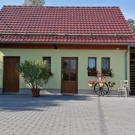 Schaffrath'S - Ferienhaus Hohnstein Eksteriør billede